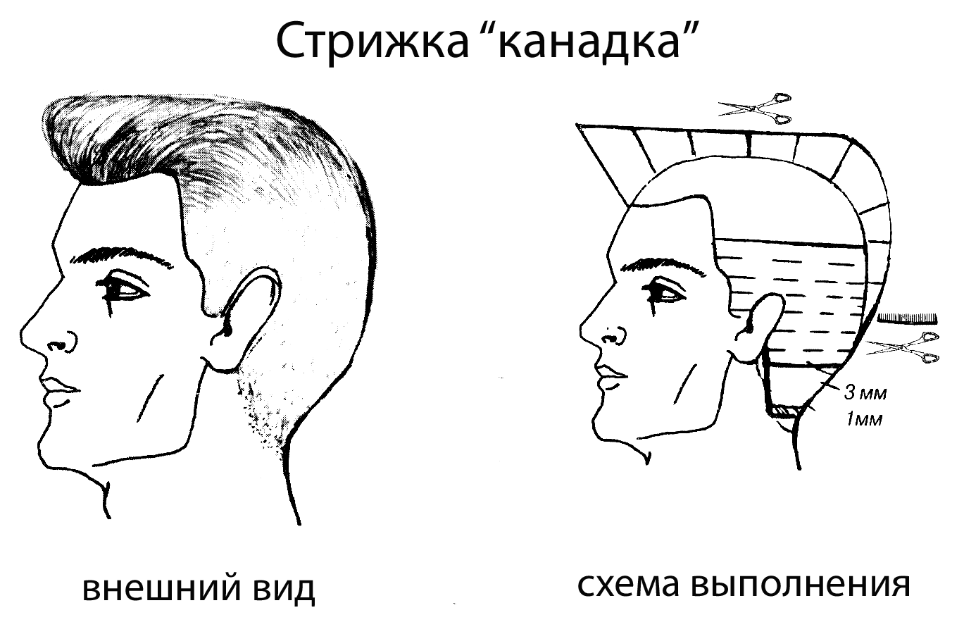 Схема стрижки канадка мужская